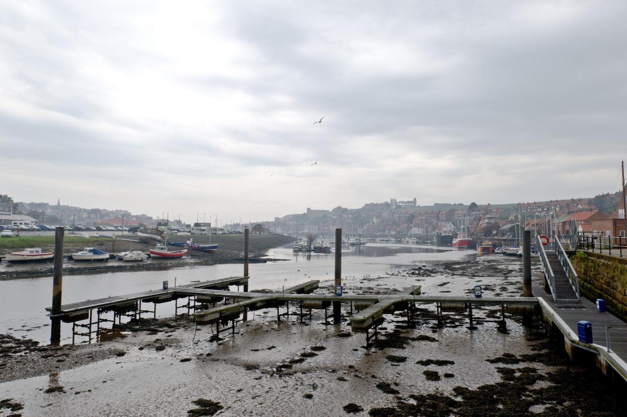 Watermark Apartments Whitby Værelse billede